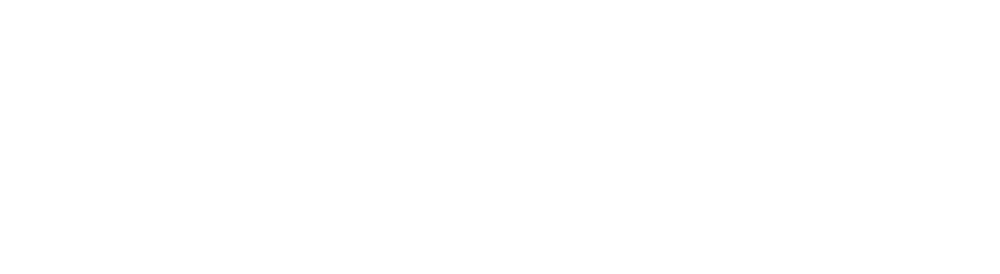 commercetools-logo-2024